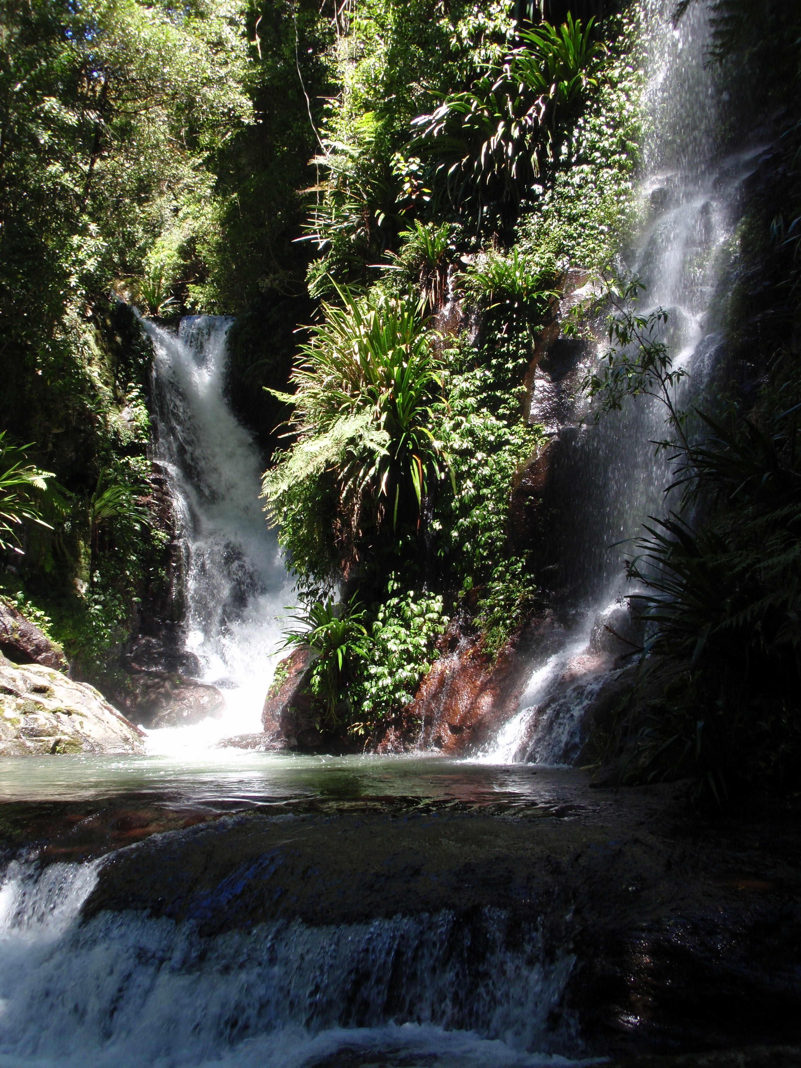 Elabana Falls in Lamington National Park, part of Gondwana Rainforests World Heritage Area.