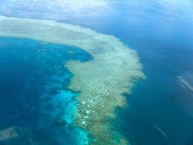 Aerial shot of Great Barrier Reef, showing mainly blue and green see and reef.