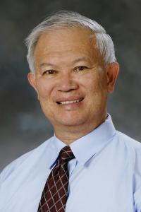 Professor Darryl Low Choy
