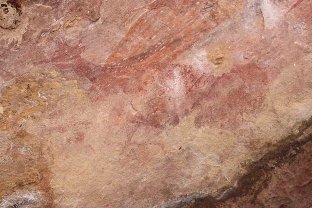 Photo of ancient deer rock art