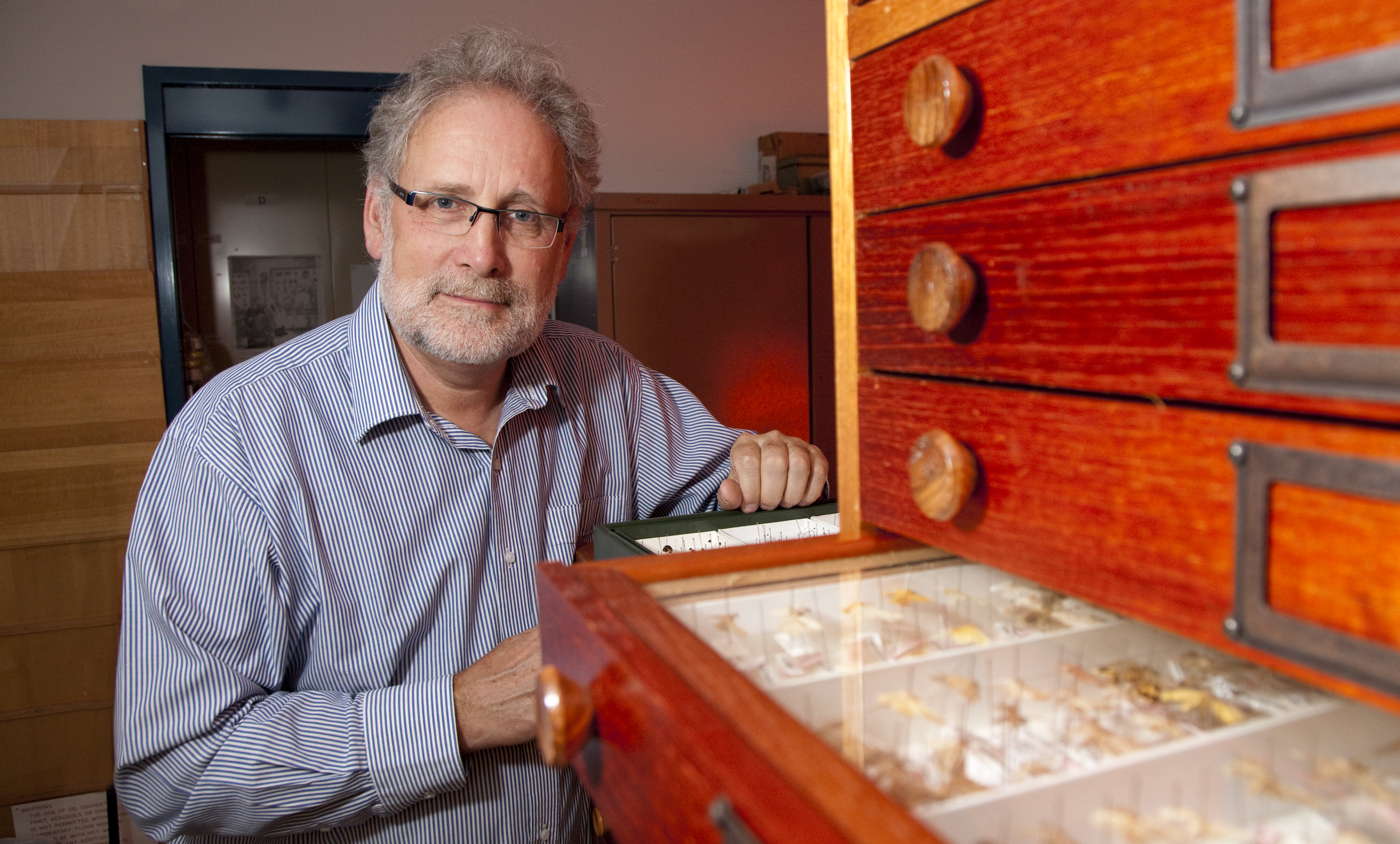 Professor Nigel Stork, of Griffith University's Environmental Futures Research Instiitute, opens a drawer of beetle samples