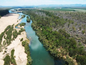 Image taken during a reconnaissance flight along the lower Burdekin River near Dalbeg. Note the clear water low flow at this point in the Burdekin