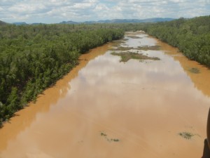 Highly turbid flow on the lower Bowen River about 10km upstream from Burdekin confluence following a 24mm local storm 36 hrs earlier. 