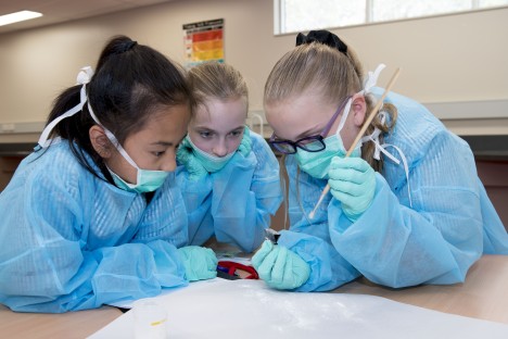 Student sleuths are on the case during the STEM Cup's Forensic Science challenge
