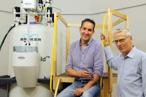 Institute for Glycomics research leader Dr Thomas Haselhorst and Bremen University's Professor Sørge Kelm are working together to fight non-Hodgkin’s Lymphoma.