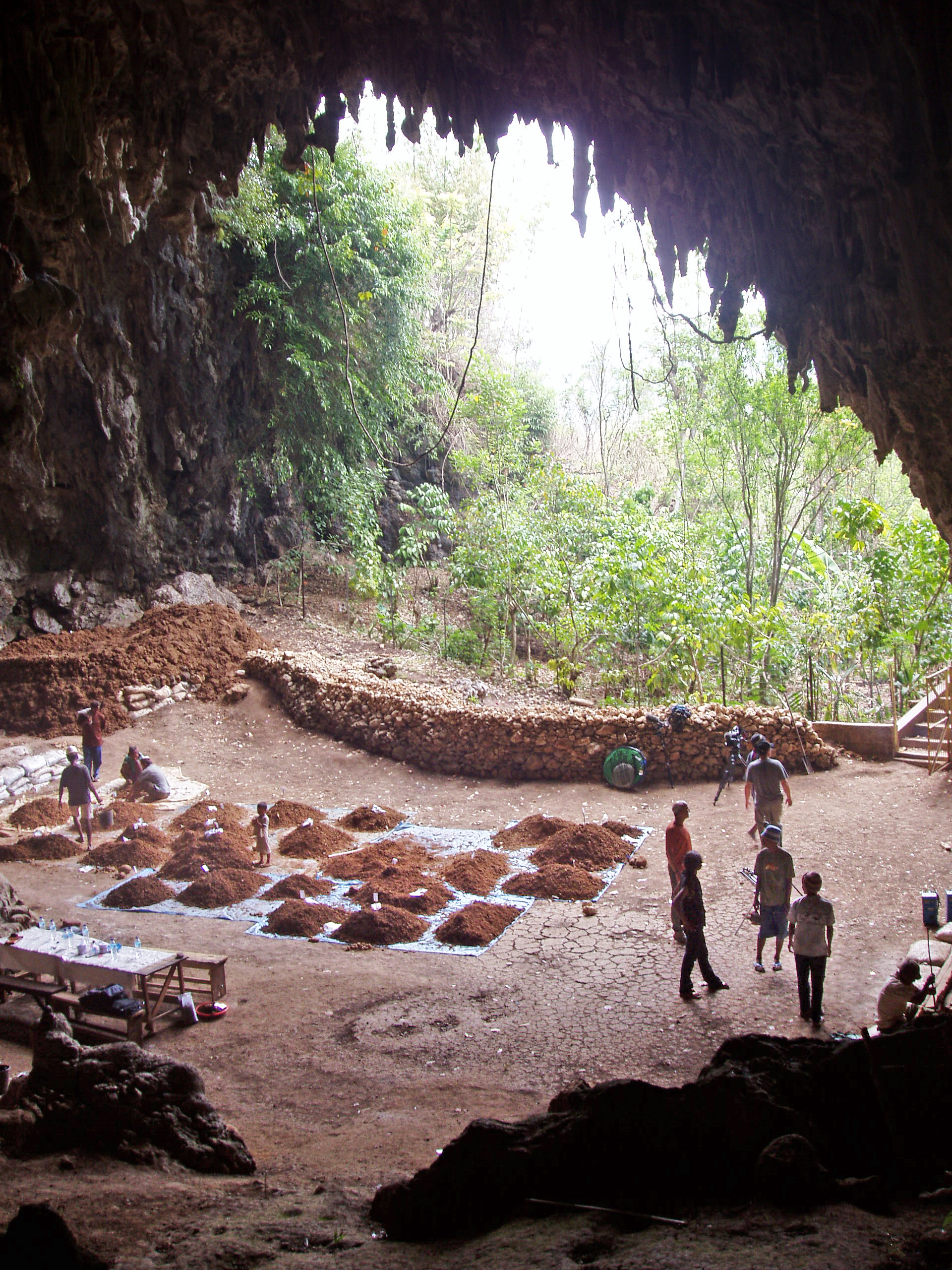 Excavations at Liang Bua cave, the discovery site of Homo floresiensis; the famous 'Hobbit' of Flores." (Photo: A. Brumm).