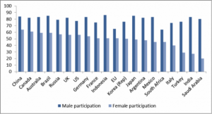 2015 labour participation in G20 countries by gender