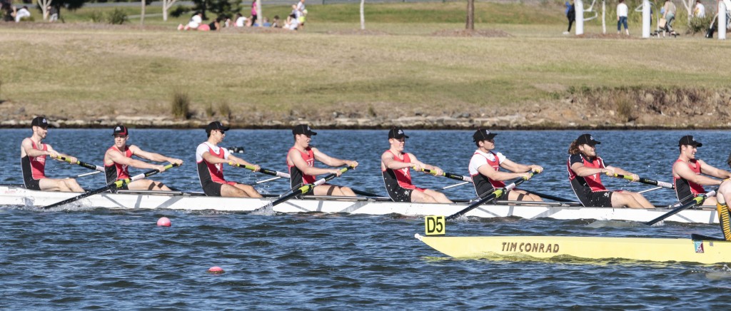 The Griffith University Surfers Paradise Rowing Club eight on their way to winning the Men's University Challenge in the 2016 Griffith Regatta. 