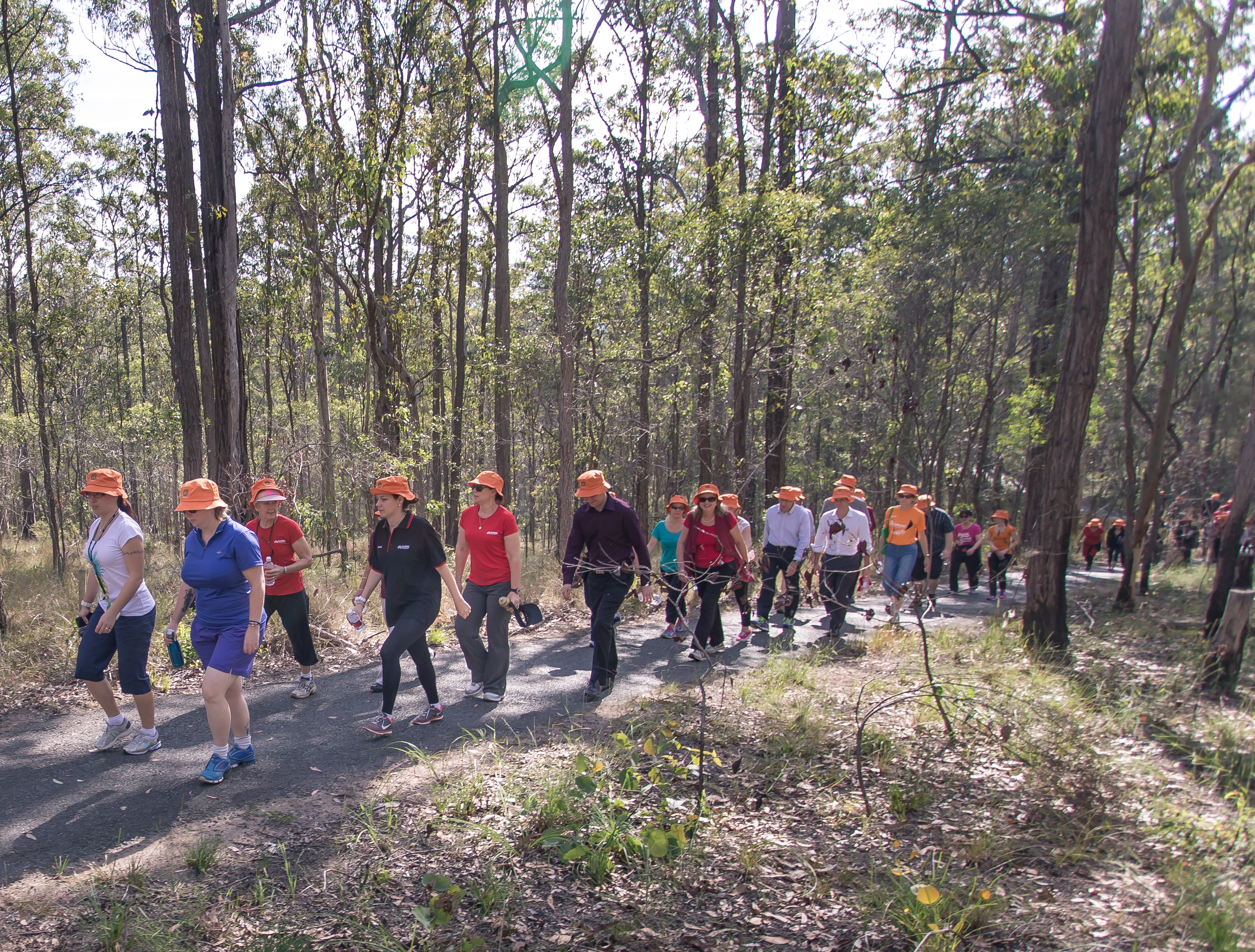 Griffith University will host a Walk and Talk event through local bushland to mark National Reconciliation Week 2017.
