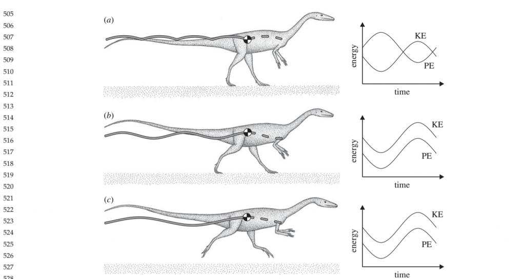 new-dinosaur-insights-provide-further-understanding-griffith-news