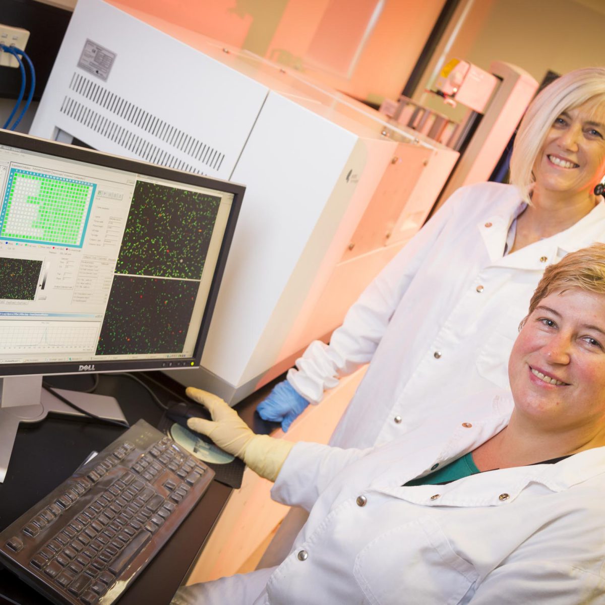 Variable malariacausing parasite behaviour puts findings in the