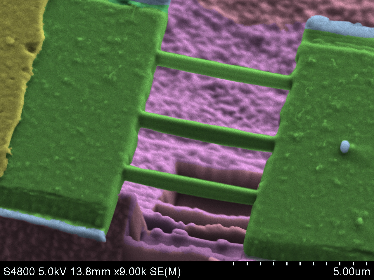 Scanning Electron Microscope: a silicon carbide nanowire array fabricated using focused ion beam.