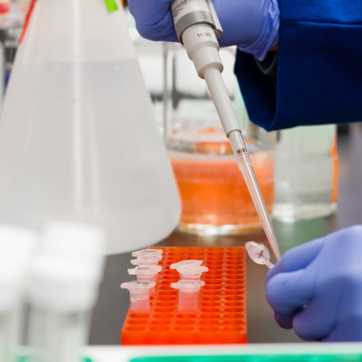 Griffith a key partner in new Fragment-Based Design training centre - Griffith News