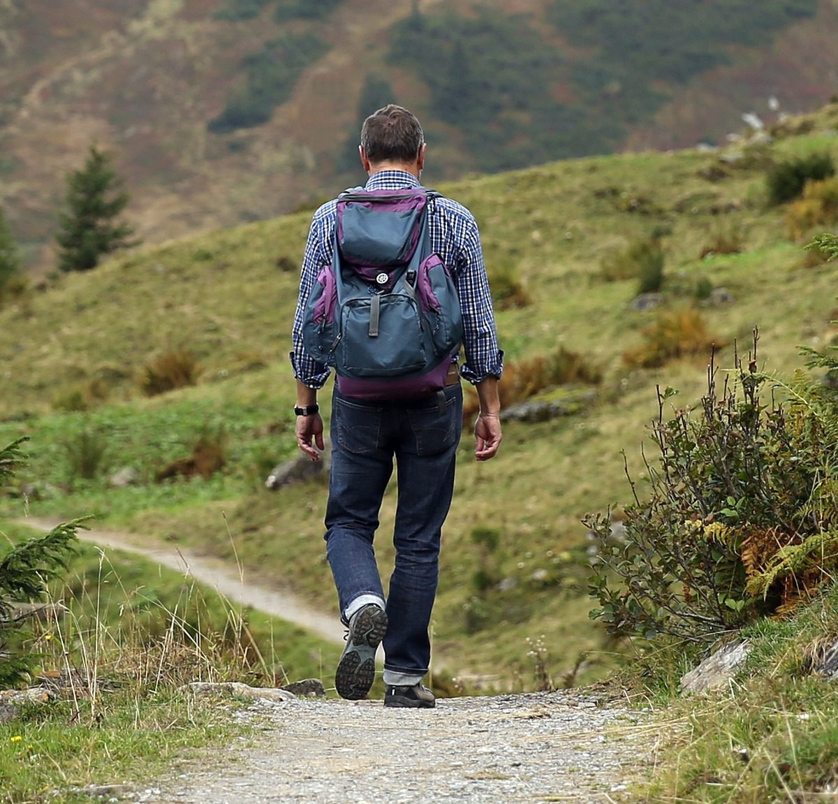Research estimates value of impact national parks have on mental health - Griffith News