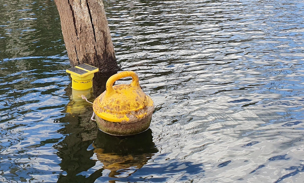 SmartBuoy – Griffith researchers at the forefront of intelligent water quality monitoring - Griffith News