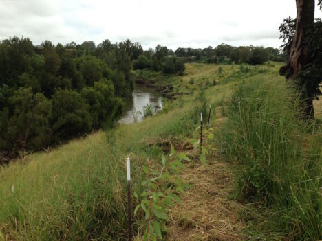 Understanding nutrient runoff to help protect waterways - Griffith News