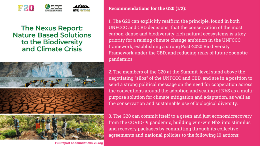 G20 stimulus potential triple win for climate, biodiversity and ...