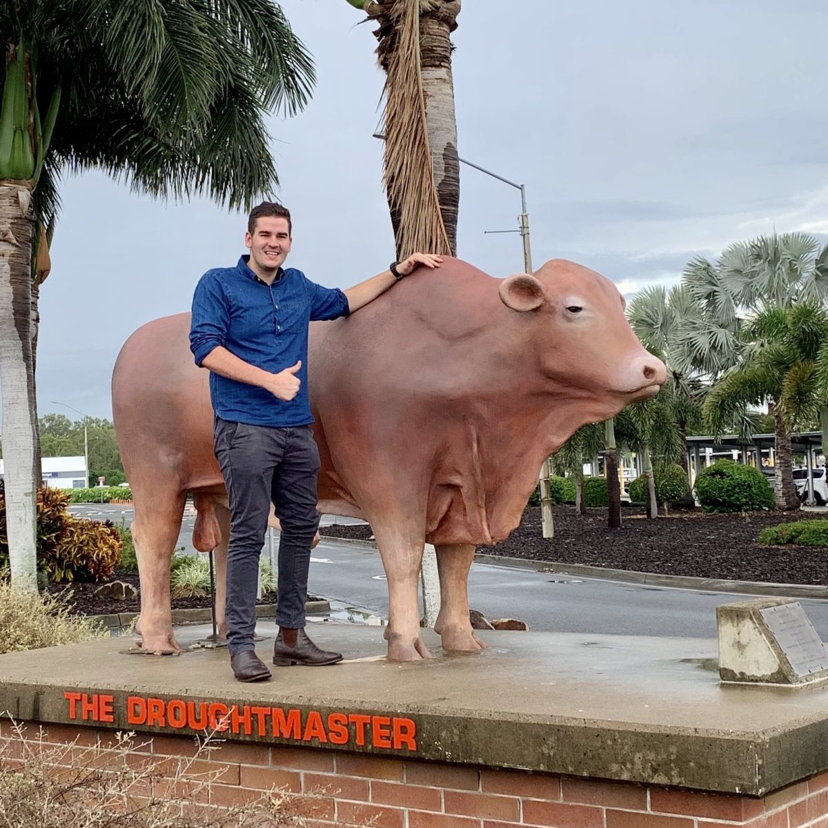 Graduates continue to secure jobs despite COVID19 Griffith News