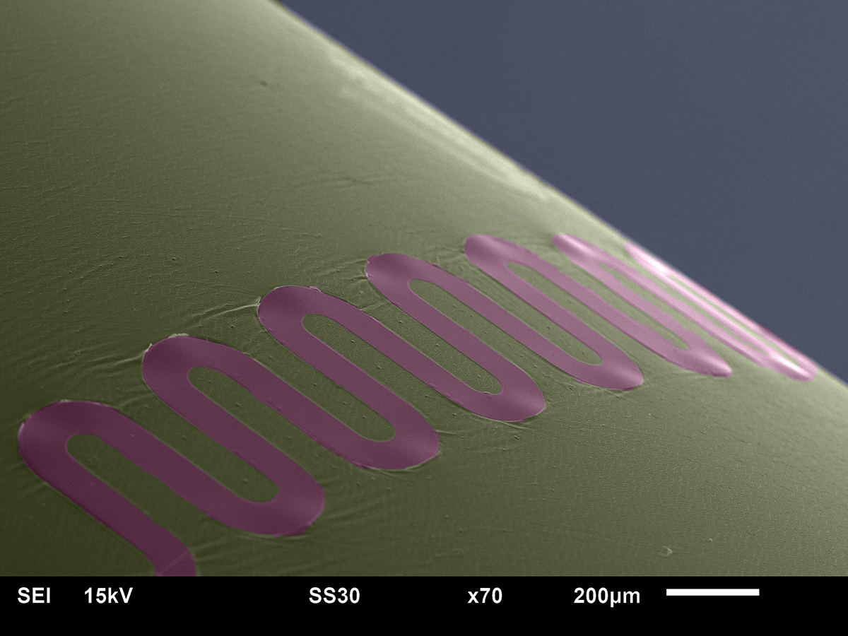Griffith University researchers have developed nanometer thin, semiconducting material, made from a compound of silicon and carbon.