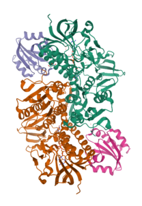 Protein 4J57 - “Plasmodium falciparum thioredoxin reductase-thioredoxin complex” 