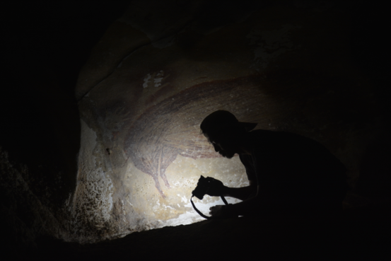 World’s Oldest Cave Art Discovered In Indonesia - Griffith News