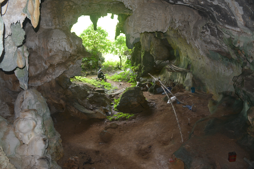 world-s-oldest-cave-art-discovered-in-indonesia-griffith-news