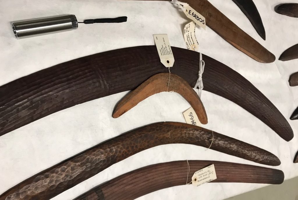 Boomerangs return with greater insights into ample uses Griffith News