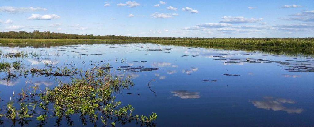 Meeting of the waters: Aligning the traditional knowledge and science ...