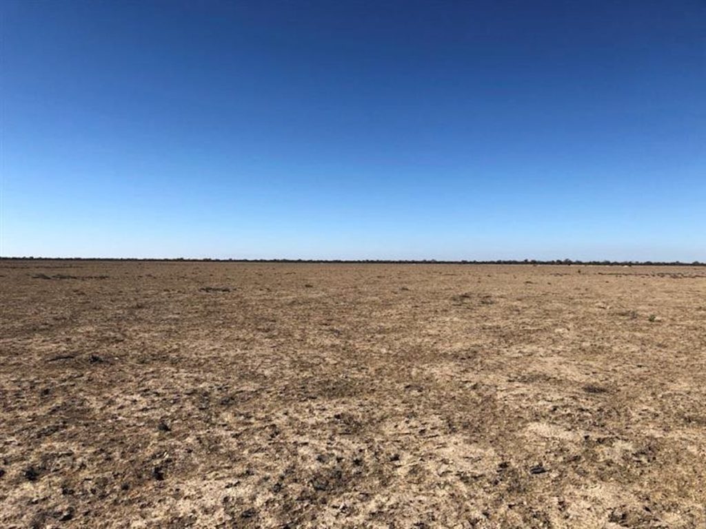 Restoring abandoned agricultural land in the Murray-Darling Basin ...