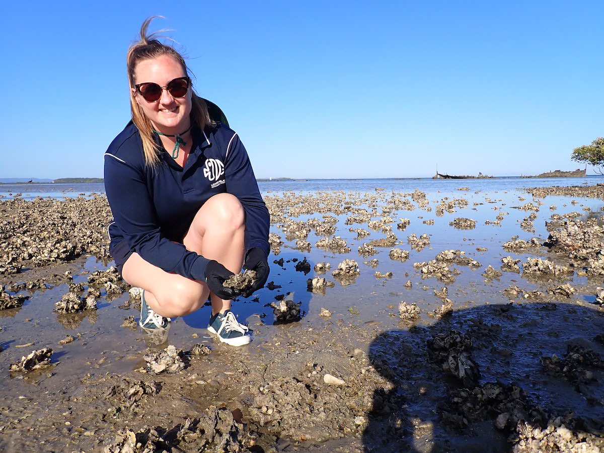 Some like it hot: The ecological benefits of oyster reefs in tropical ...