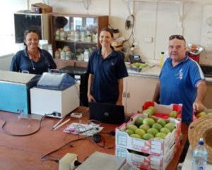 Advancements for Global Mango Trade from Australian Hot Water Treatment Study
