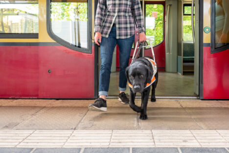 Assistance dog leads a blind woman out of a train