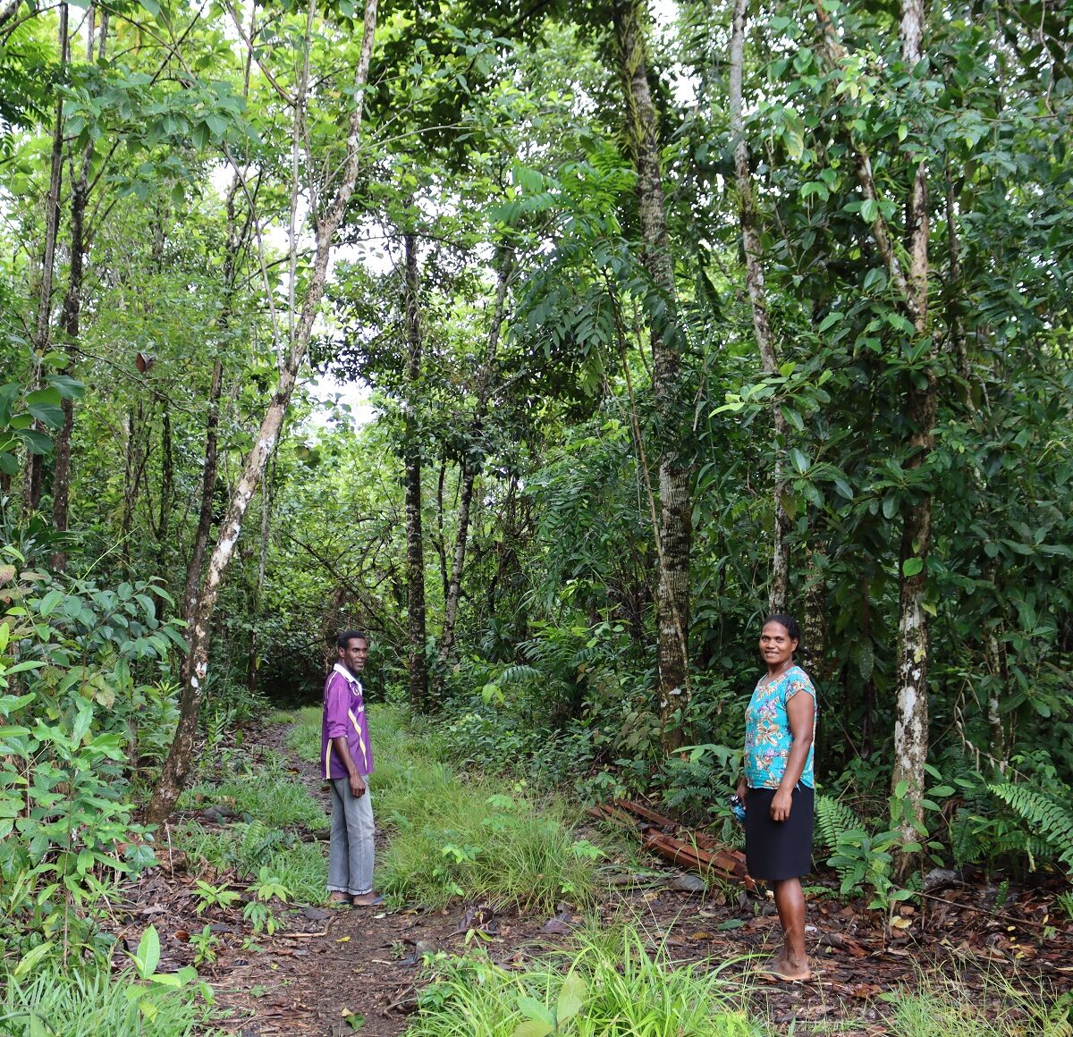 Forest regeneration project puts tools in community hands – Griffith News