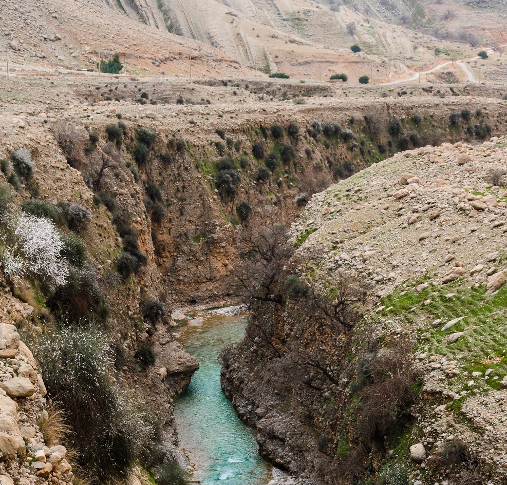 Persian plateau unveiled as crucial hub for early human migration out ...