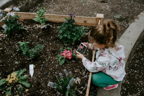 A young girl takes a photo with a smartphone of flowers in a garden bed