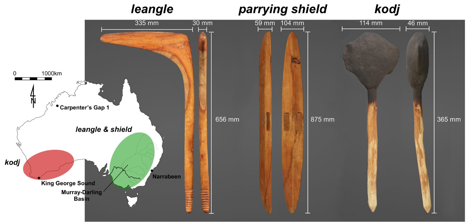 First-ever biomechanics study of Indigenous weapons shows what made ...