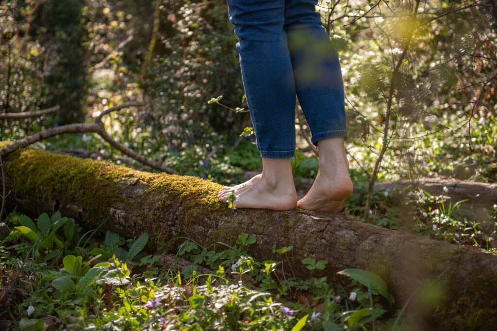 Nature therapy integrated in clinical health care could boost mental health